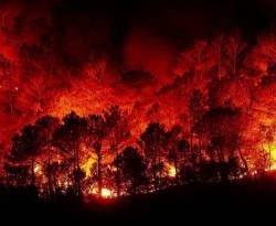 النظام: حرائق الأسبوع الفائت جزء من 