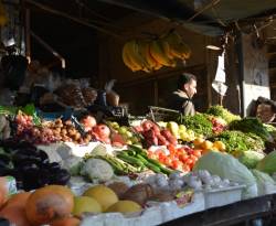 أسعار الخضار والفواكه بأسواق جديدة عرطوز