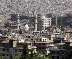 الخنافس تغزو دمشق وريفها