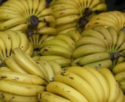 الشبيحة ينتصرون بمعركة الموز