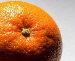 مسؤول يدعو السوريين لأكل برتقالة يومياً