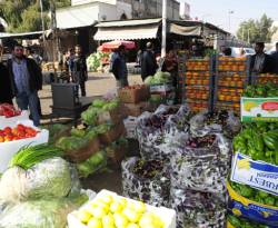 مصدر في النظام يكشف عن مكان سوق الهال الجديد بدمشق