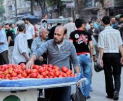 الموجب والسالب في قرار 