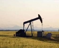 النفط الأمريكي يهبط 10% بعد قرار أوبك وبرنت دون 70 دولارا