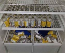 في خطوة أولى: زراعة 