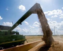 البركة بالخط الائتماني الإيراني..النظام يعترف: استطعنا استجرار 10 بالمئة فقط من محصول القمح