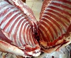 معلومات مرعبة عن واقع بيع لحوم الحمير في سوريا