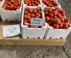 حملة يلبغا الخير.. دعم للفقراء أم دعاية لوسيم القطان؟