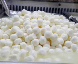 تراجع أسعار الألبان والأجبان في دمشق بنحو 50 بالمئة