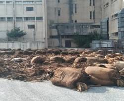 إعفاء مسؤولين على خلفية شكوك بافتعال حريق 