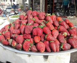 تعرّف على أسعار الخضار والفواكه في أسواق دمشق