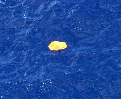 مسؤولون أوروبيون: قوائم المراقبة لم تشتمل على أي من ركاب الطائرة المصرية