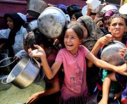 مرصد عالمي: مدينة غزة تعاني رسمياً من مجاعة ربما يتسع نطاقها