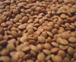 أسعار بعض السلع في معرة النعمان