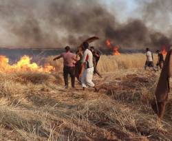 تعرّف على الأرقام.. النظام يحصر خسائر حرائق محصول الحبوب