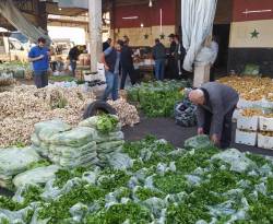 اقتراح بنقل سوق الهال في دمشق إلى الكسوة