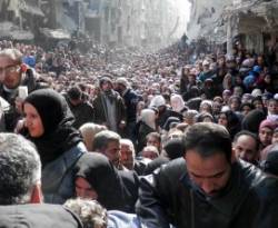 رامي السيد لـ