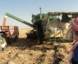 مسؤولو النظام يتراشقون بالاتهامات...والسبب محصول القمح