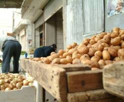 البطاطا والإعلام، أم إعلام البطاطا..؟!