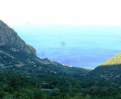 500 ألف دولار من الحكومة المؤقتة 