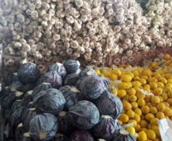 رصد للأسعار في غازي عينتاب التركية