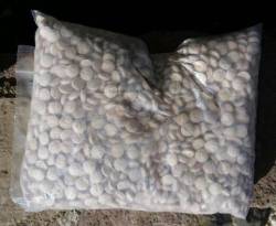 الأناضول التركية: العثور على حبوب مخدرة بجبل 