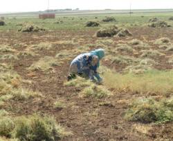 تعرّف على ظاهرة 