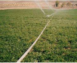 مستثمرون كويتيون يعتزمون اللجوء للتحكيم الدولي لمقاضاة الحكومة المصرية بشأن أرض العياط