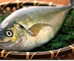 مصدر من النظام: أسماك مسرطنة تغزو أسوق دمشق