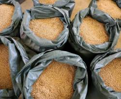 إغلاق مضيق هرمز يهدد الإمدادات الغذائية عالمياً