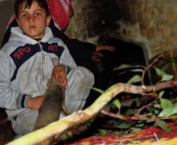 قريباً...الخبز والغاز المنزلي والكهرباء على 