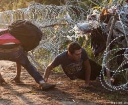 الشرطة: مقتل مهاجرين اثنين بالرصاص في صربيا