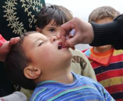 انطلاق الحملة الثامنة من جولات لقاح شلل الأطفال في المناطق المحررة