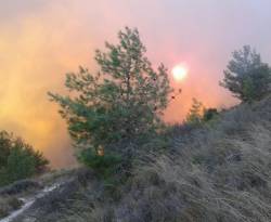 الساحل يحترق.. أبعد من نيران وأكثر من تفحيم