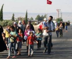 تركيا.. أنفقنا أكثر من 1.5 مليار دولار على اللاجئين السوريين