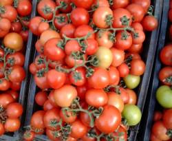 قائمة أسعار في مناطق خاضعة لسيطرة النظام في ريف دمشق الغربي