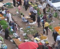 أسعار بعض المواد الغذائية والمحروقات شرقي مدينة حلب