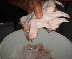 في إدلب.. الخضراوات الصيفية تحلق، والفرق واسع بين الدجاج التركي والسوري