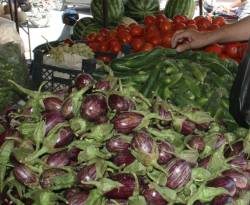 رصد لأسعار بعض السلع في ريف حماه المحرر