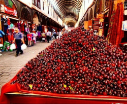 تصدير 15 براداً من الفواكه يومياً إلى الخليج والعراق