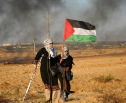 البنك الدولي: الاقتصاد في غزة في حالة 