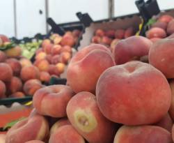 ارتفاع قياسي في أسعار الخضار والفواكه بدمشق خلال عطلة العيد