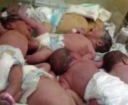 المواليد السوريون 