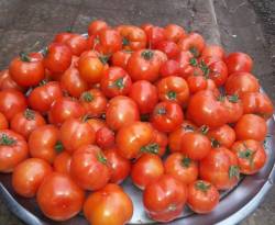 أسعار بعض السلع في الغوطة الشرقية