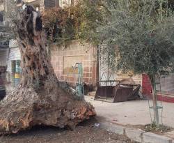 تكاليف التدفئة في الغوطة الشرقية.. بالورقة والقلم