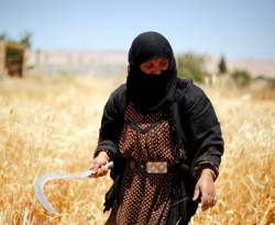 من مصدر وحيد هو روسيا.. مناقصة لمقايضة 100 ألف طن من القمح الصلد بقمح طحين