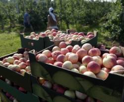 قرار روسيا فرض 