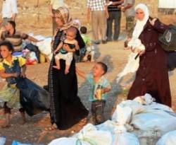 من مخازنها بدبي إلى طرطوس ..