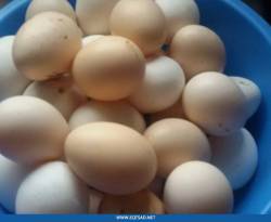 أسعار بعض السلع في الغوطة الشرقية