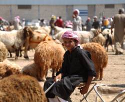 صحيفة رسمية: أسعار الأضاحي انخفضت 15 بالمئة عن العام الماضي